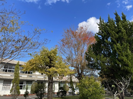 三原小学校外観1