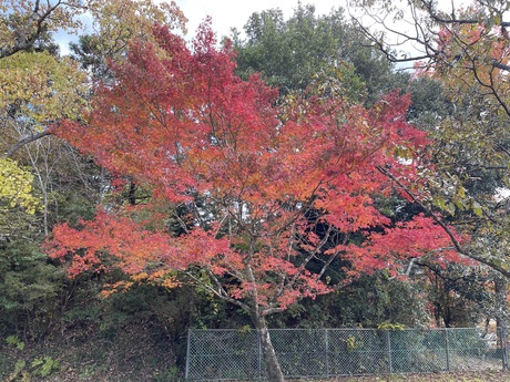 三原保育所画像2