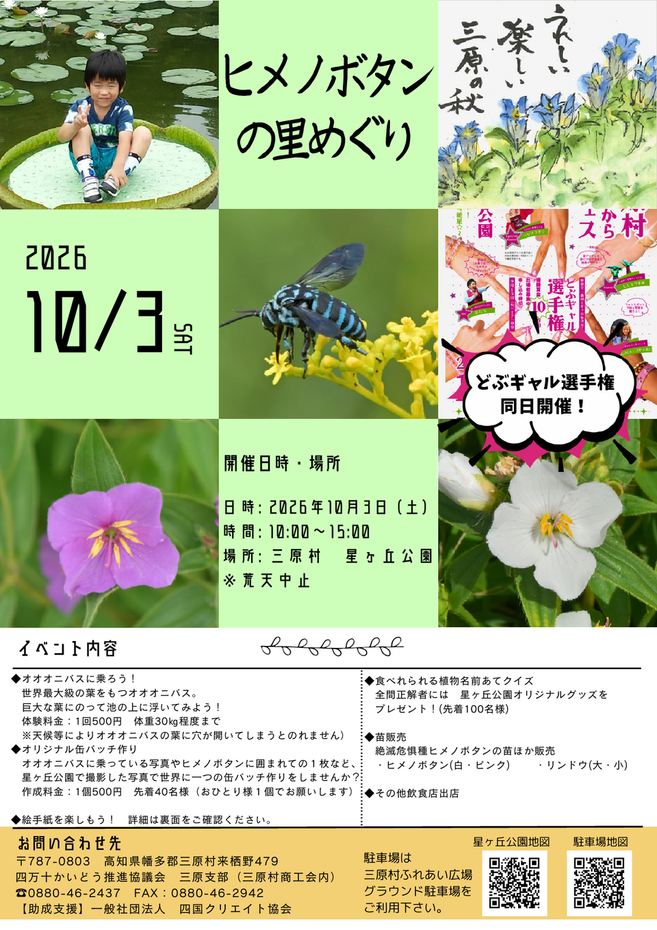トピックス画像
